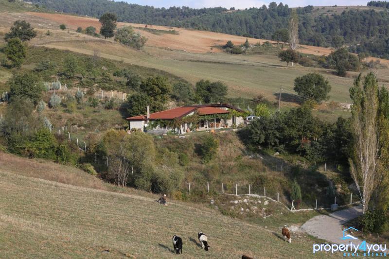 Schönes rustikales Bungalow Steinhaus in der Natur - Ruhig gelegen und Top Städte im Umkreis Schönes rustikales Bungalow Steinhaus in der Natur - Ruhig gelegen und Top Städte im Umkreis